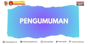 Pengumuman Hasil SPMB Tahun 2025